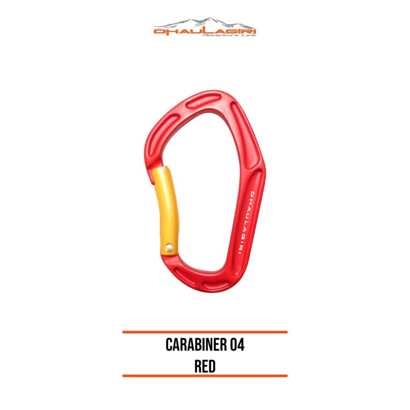 DH Carabiner 04