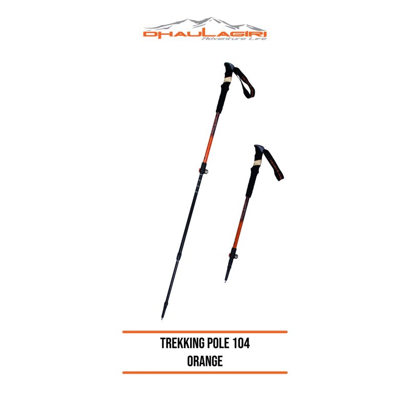 DH Trekking Pole 104 - Gambar 4