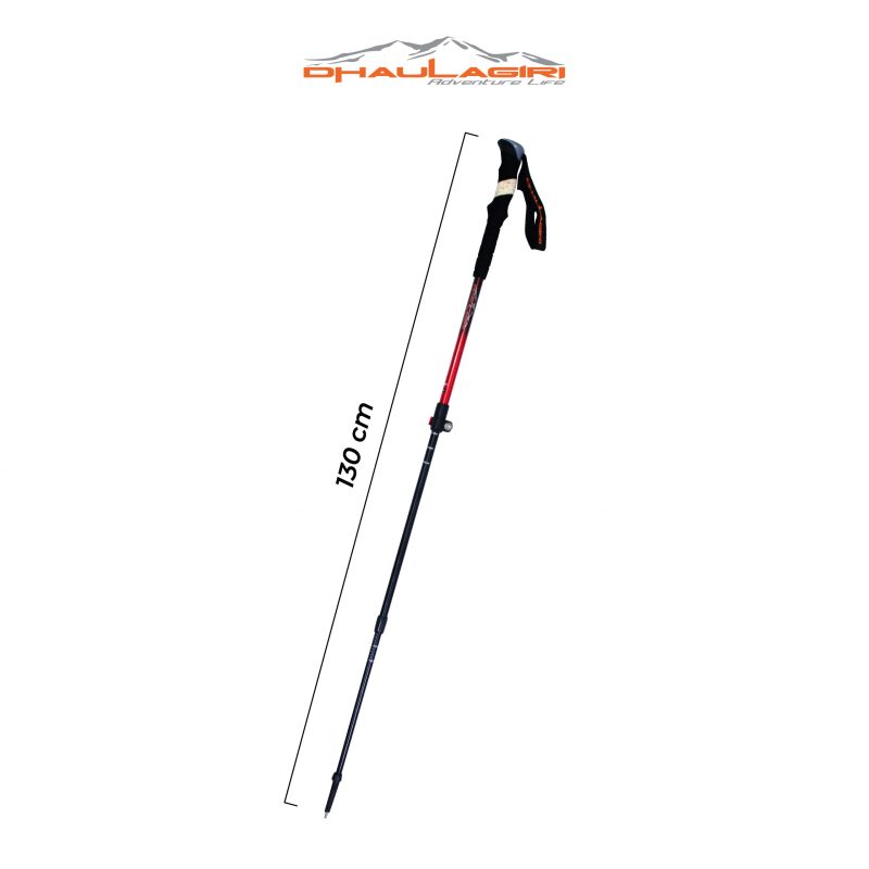 DH Trekking Pole 104 - Gambar 6