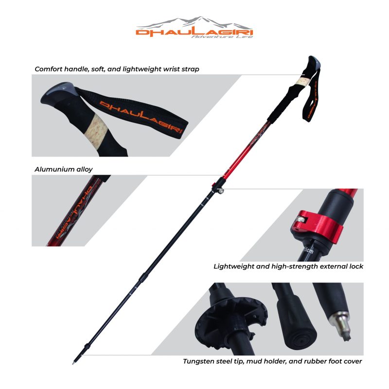 DH Trekking Pole 104 - Gambar 5