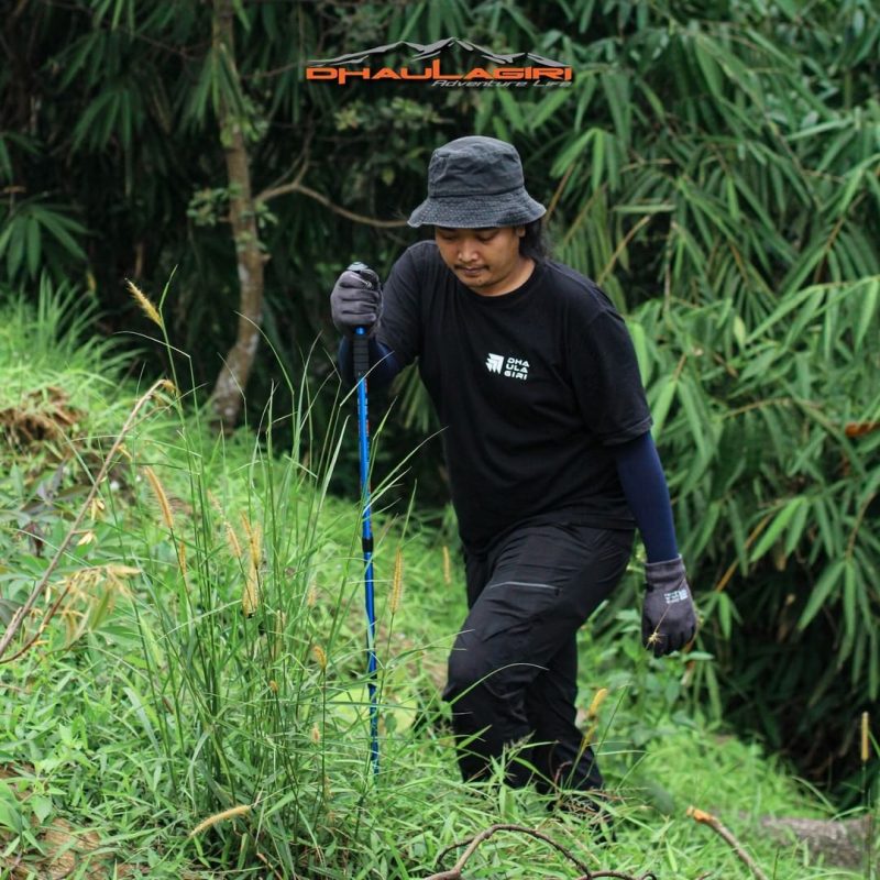 DH Trekking Pole 101 - Gambar 9