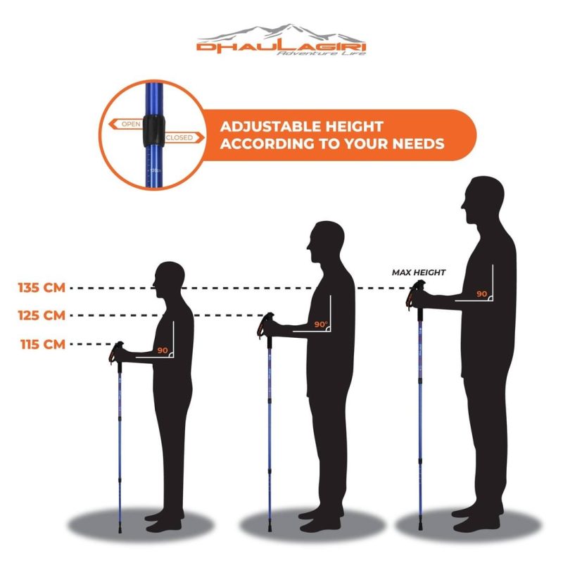 DH Trekking Pole 101 - Gambar 4