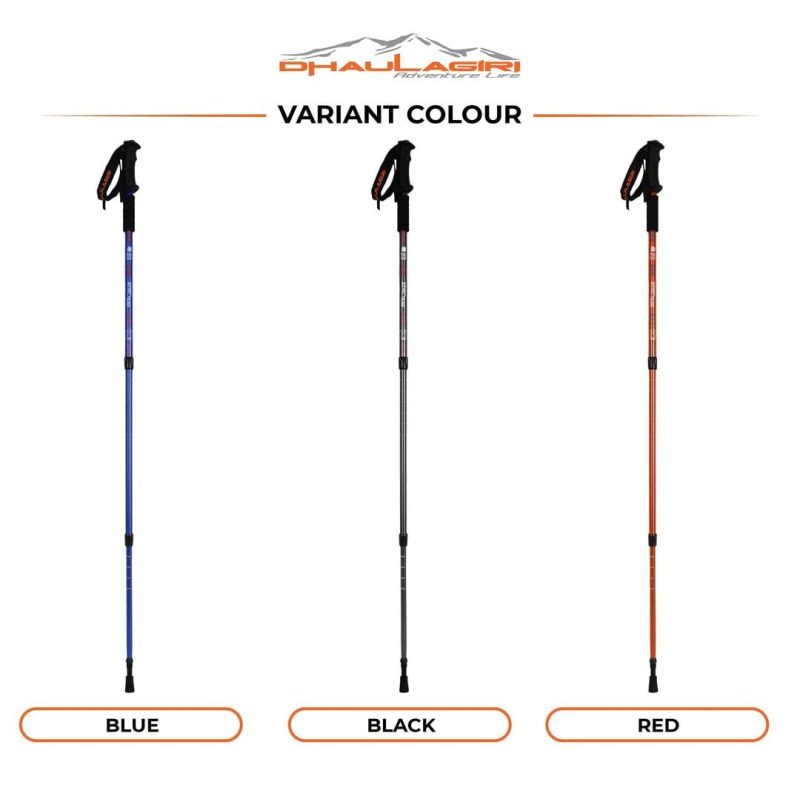 DH Trekking Pole 101 - Gambar 5