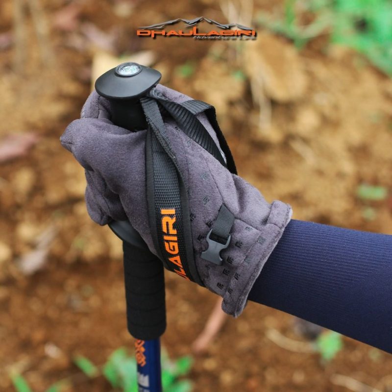 DH Trekking Pole 101 - Gambar 8