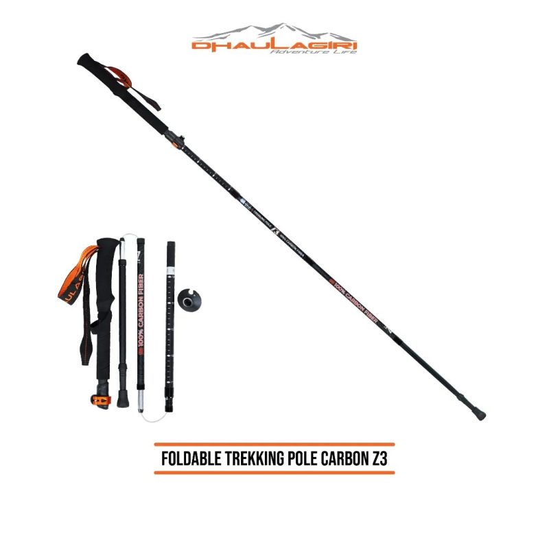 DH Trekking Pole Z3 New